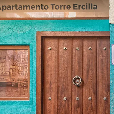 Torre Ercilla Apartment *